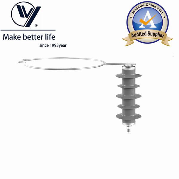 China 
                        12kv Surge Arrester with External Gap a Type
                      manufacture and supplier