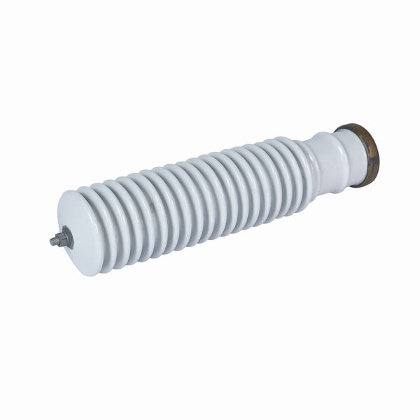 China 
                        High Voltage Insulator Surge Arrester
                      manufacture and supplier