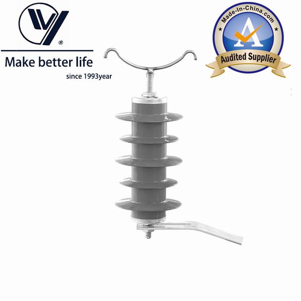 China 
                        Polymer Housed Surge Arrester With External Gap B
                      manufacture and supplier