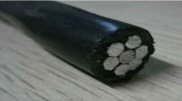
                        100mm2 AAC Insulated Wasp Conductor
                    