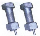 China 
                        Anti-Theft Bolts
                      manufacture and supplier