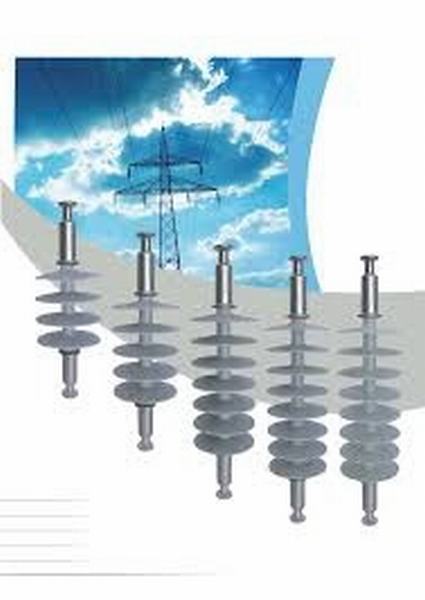China 
                        Composite Insulator 70kn - BS11- 24kv
                      manufacture and supplier