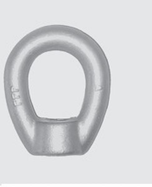 China 
                        Oval Eye Nut
                      manufacture and supplier