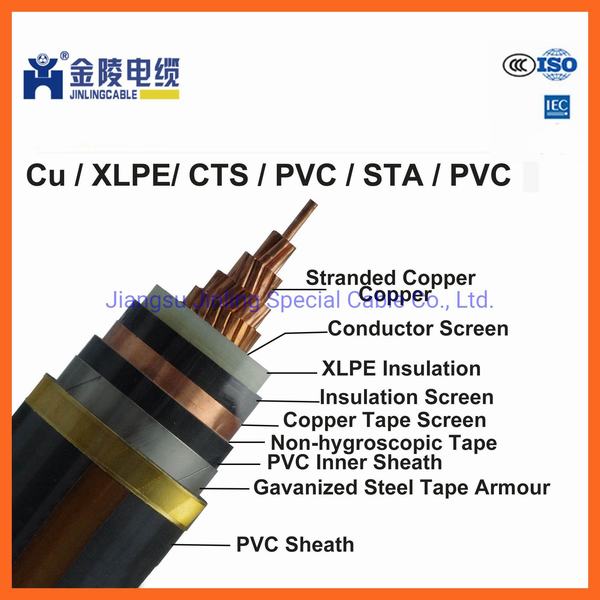 Chine 
                                 Isolation XLPE 3.6/6kv Single Core les câbles de puissance                              fabrication et fournisseur