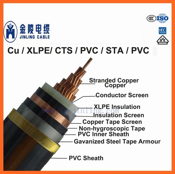 
                        6/10kv Mv XLPE Insulated Power Cables Single Core Cables
                    