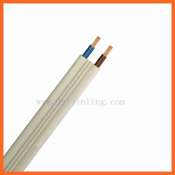 China 
                        Nyify-R 300/500 V PVC Insulated Capoten Cable
                      manufacture and supplier