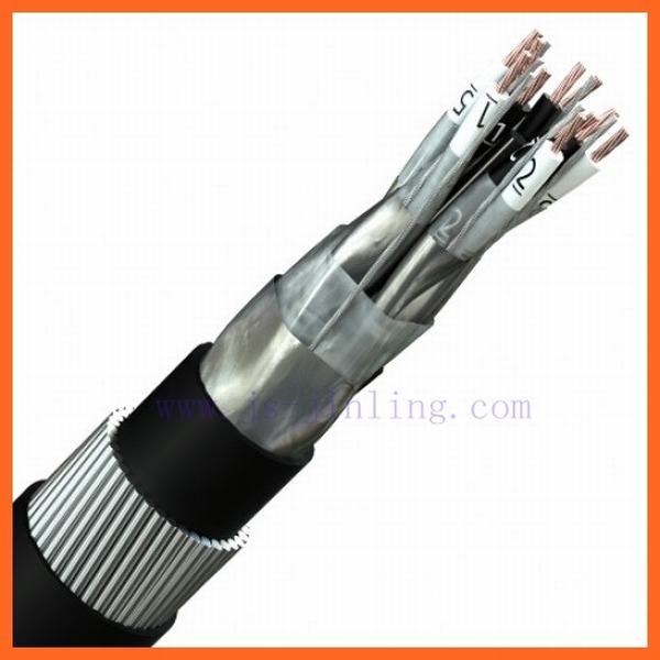 China 
                        Re-2xy Sway XLPE Insulated Screened and Armoured Instrument Cables
                      manufacture and supplier