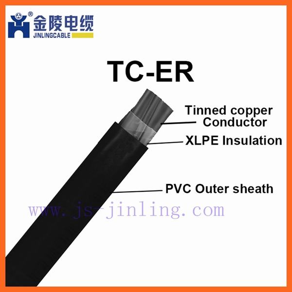Chine 
                                 Xlp Tc-Er PVC 600 V 2c 3c 4c Câble de commande de bac                              fabrication et fournisseur