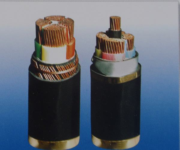 
                        0.6/1 Kv XLPE Insulated Cable
                    