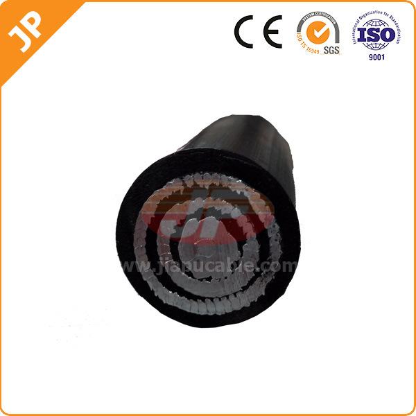 Китай 
                                 Кв 0.6/1передача мощности концентрические кабель с со стандартом ASTM                              производитель и поставщик