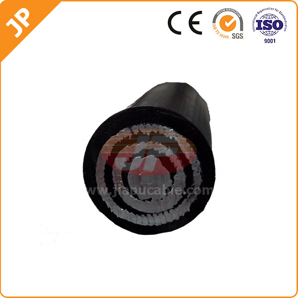 
                0.6/1kv Power Transmission Concentric Cable
            