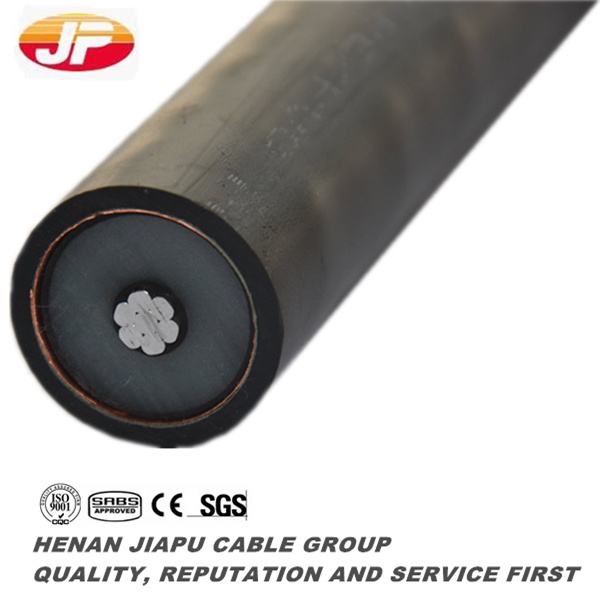 China 
                        12/20kv XLPE/Swa/PVC Power Cable 1*50 1*70
                      manufacture and supplier