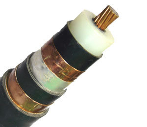 China 
                150mm2 XLPE Insualted/ PVC Sheath Power Cable
              manufacture and supplier