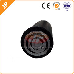2*6AWG Aluminium Concentric Cable
