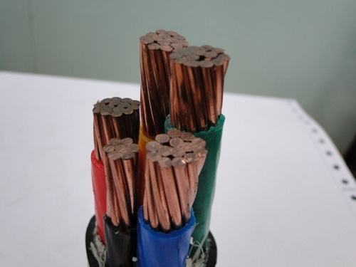 
                4X10mm2 Copper PVC Power Cable
            