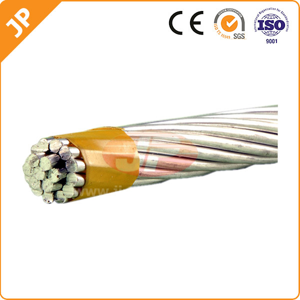 China 
                50mm2 High Quality Acar Aluminum Conductor
              manufacture and supplier