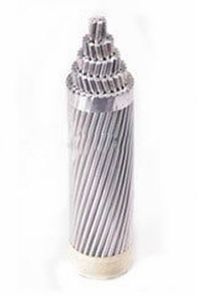 China 
                        AAC Ant/Bee/Locust All Aluminium Conductor
                      manufacture and supplier