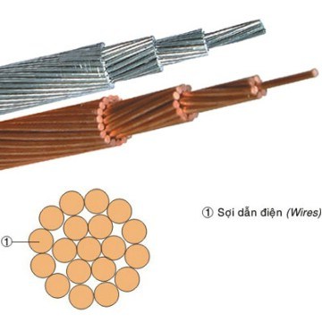 
                ASTM B231 Standard AAC Conductor
            
