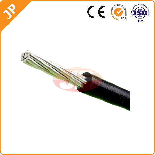 China 
                ASTM cubierto de alta calidad Cable
              fabricante y proveedor