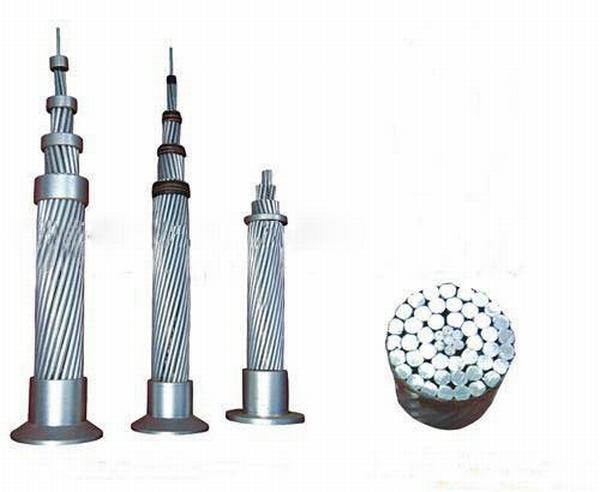 China 
                        All Aluminium Alloy Conductor 54.6 Sqmm (AAAC)
                      manufacture and supplier