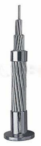 China 
                        All Aluminium Alloy Conductor (AAAC) Power Cable
                      manufacture and supplier