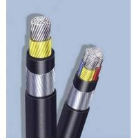 China 
                La norma europea de cable de alimentación aislado XLPE
              fabricante y proveedor