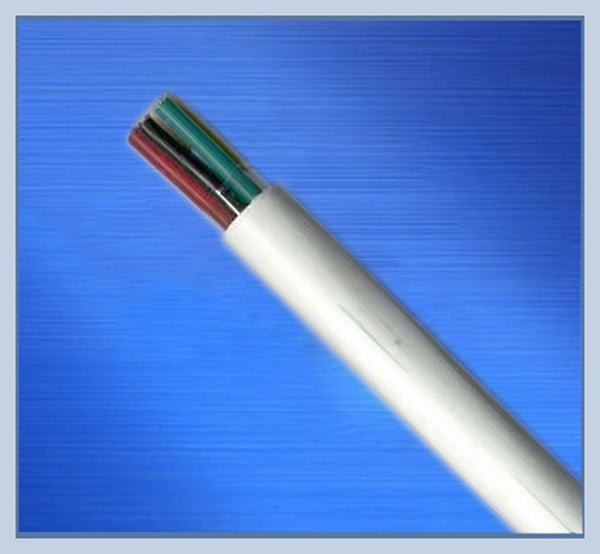 Chine 
                                 Accueil utilisés sur le fil électrique en PVC souple                              fabrication et fournisseur