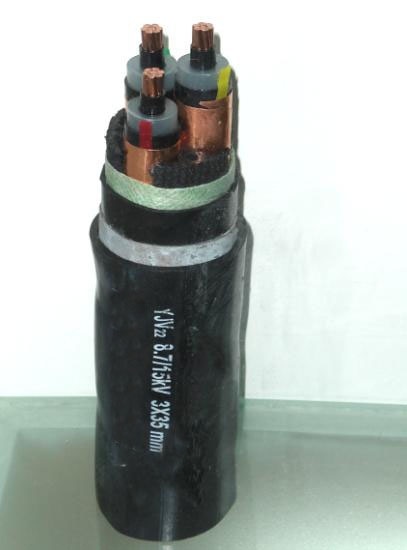 
                XLPE Insulated Armoured Marine Power Cable
            
