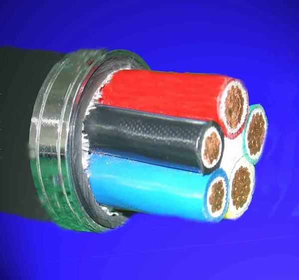 Chine 
                                 Gaine en PVC d'isolation en polyéthylène réticulé Câble d'alimentation                              fabrication et fournisseur