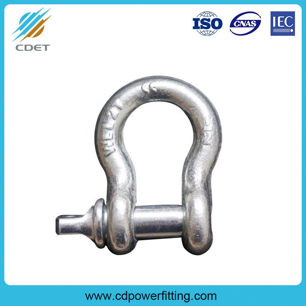 China 
                China Costomized Forged Anchor U D Shackle
              manufacture and supplier