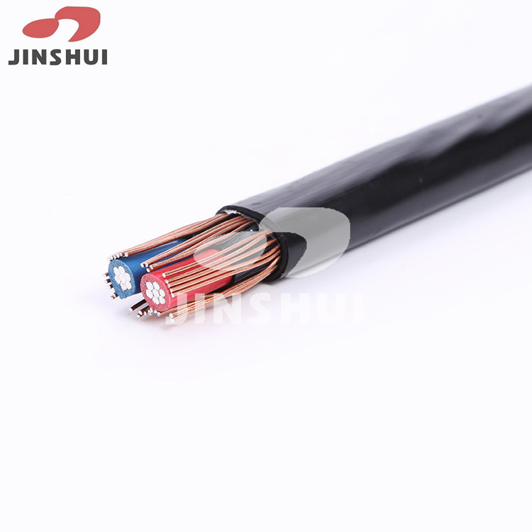 0.6/1kv Alloy XLPE Insulation Sheathed Conductor Copper Aluminum Concentric Cable