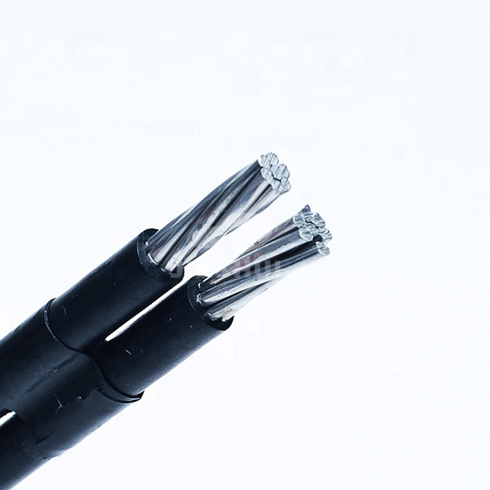 China 
                0,6/1kV cable conductor de aluminio de caída de servicio dúplex
              fabricante y proveedor