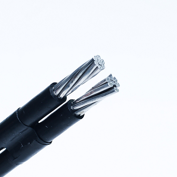 China 
                0.6/1kv servicio de cable dúplex caída de cable de aluminio para los gastos generales
              fabricante y proveedor