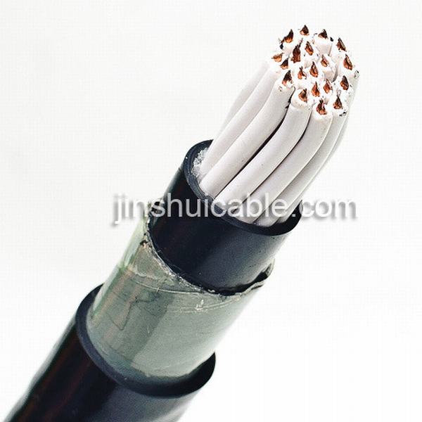Chine 
                                 19*1,5 mm2 blindé de bandes Copperconductor/STEEL/Câble de commande                              fabrication et fournisseur