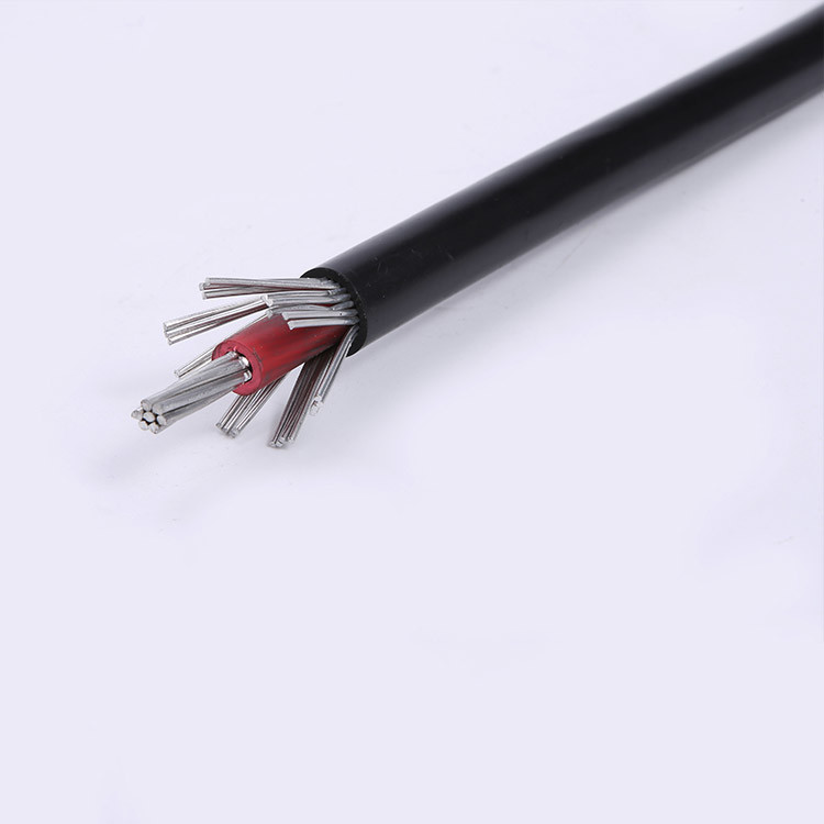 China 
                Cable coaxial de aleación de aluminio serie 1X6AWG+6AWG 8000
              fabricante y proveedor