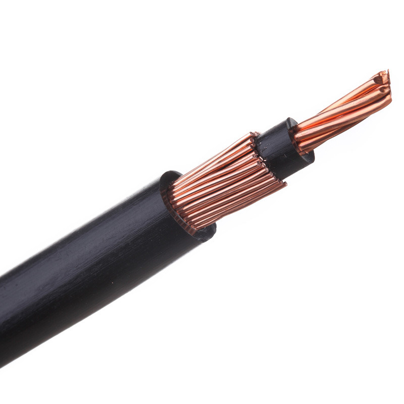2X16mm 2X6AWG Alloy XLPE Insulation Sheathed Conductor Copper Aluminum Concentric Cable