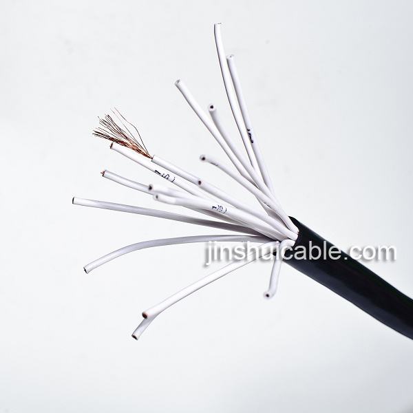 China 
                        450/750V Copper Conductor PVC Insulated Control Cable
                      manufacture and supplier