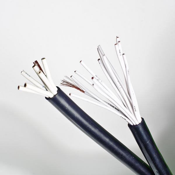 China 
                        450/750V Copper PVC Insulation Sheath Control Cable
                      manufacture and supplier