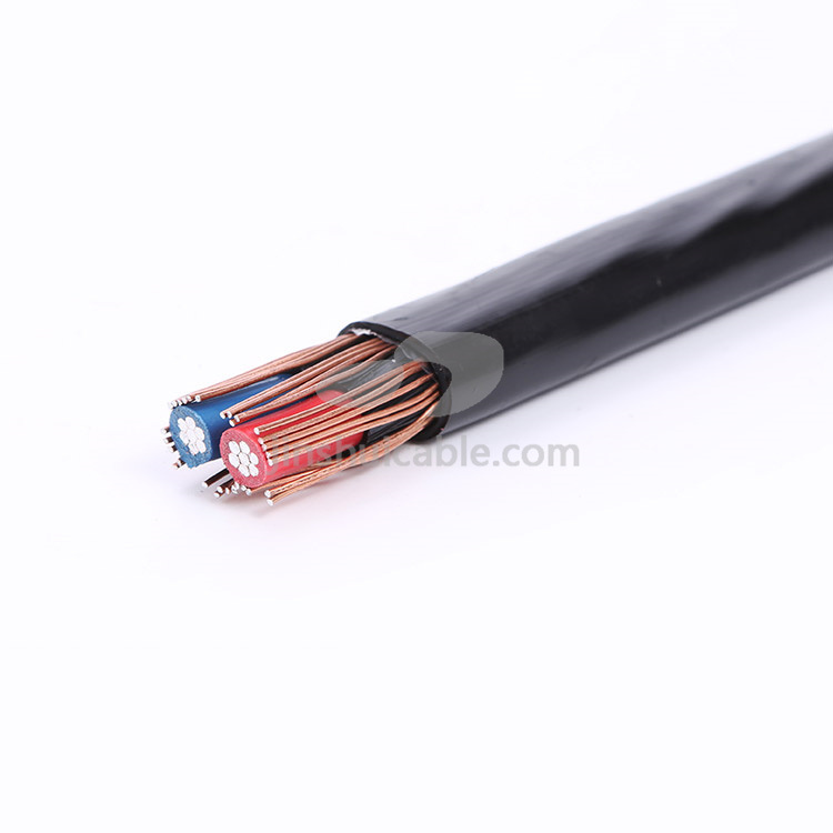 600V XLPE Insulation Copper/Aluminum Conductor Twin Concentric Electric Cable