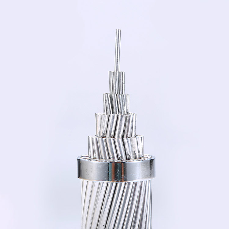 China 
                AAC AAAC ACSR ASTM Overhead Bare Aluminum Conductor
              manufacture and supplier