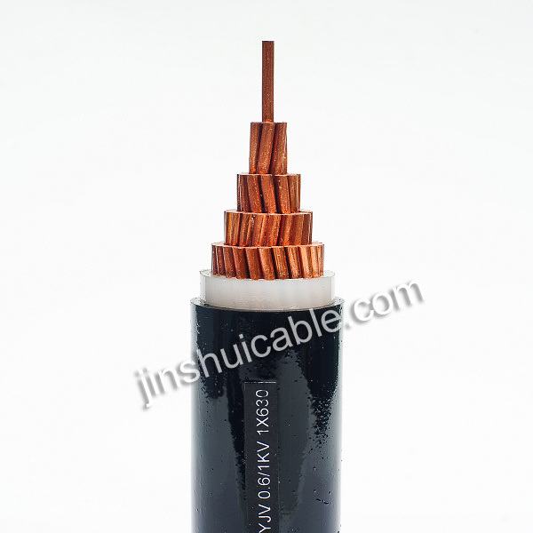 China 
                        Armoured XLPE Electric Cable for Power Transmission
                      manufacture and supplier