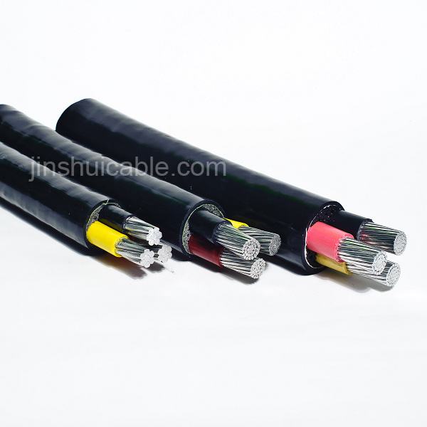 China 
                                 La Norma BS 3 núcleos aislados con PVC, Cable de alimentación                              fabricante y proveedor