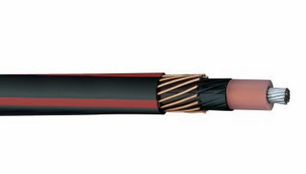 China 
                        Concentric Cable Copper/Aluminum Conductor PVC Insulated Sheathed
                      manufacture and supplier