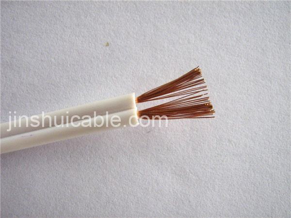China 
                        Electric Wire Spt Cable 2X6AWG
                      manufacture and supplier