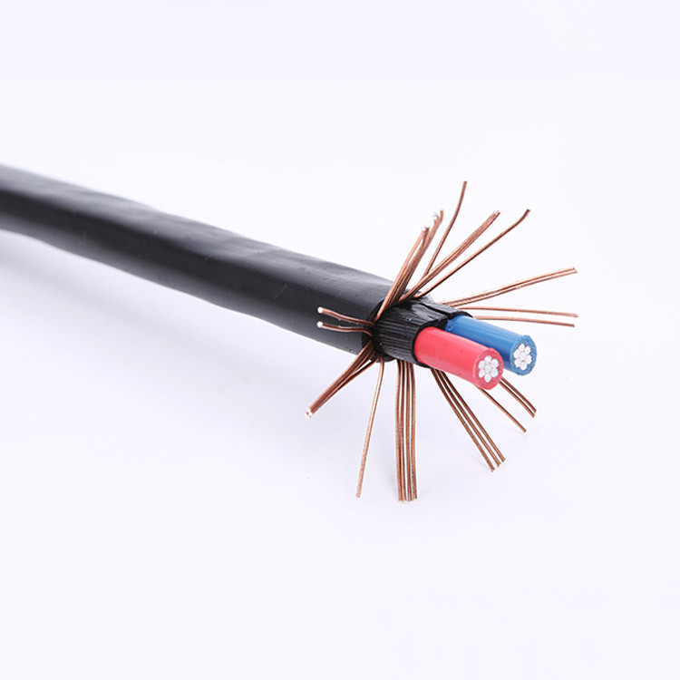 Hot Sale Kvv Kvvp PVC Insulated Copper Core Electrical Power Cable