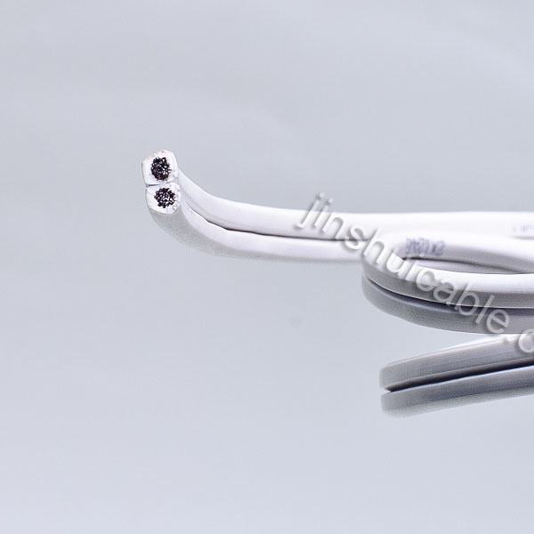 Chine 
                                 LV Cu PVC 2X10AWG Spt câble souple sur le fil                              fabrication et fournisseur