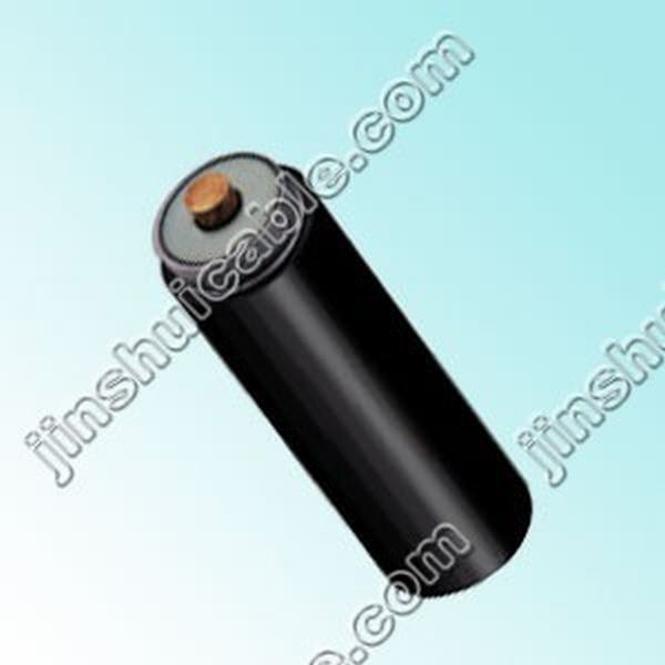 China 
                        Low Voltage XLPE Insulated Swa Armored Copper Power Cable
                      manufacture and supplier