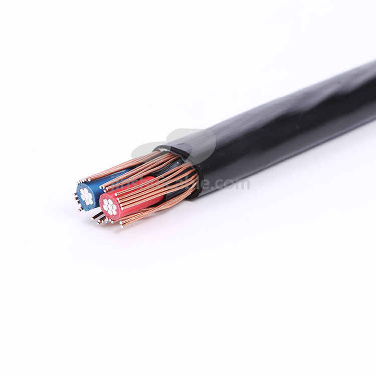 
                Одножильный концентрический кабель 250 см из алюминия/меди Концентричный нейтральный провод
            