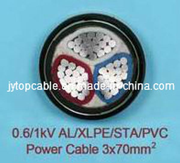 China 
                                 0.6/1kv Na2xby el cable eléctrico de baja tensión LV Na2xby Cable electri                              fabricante y proveedor