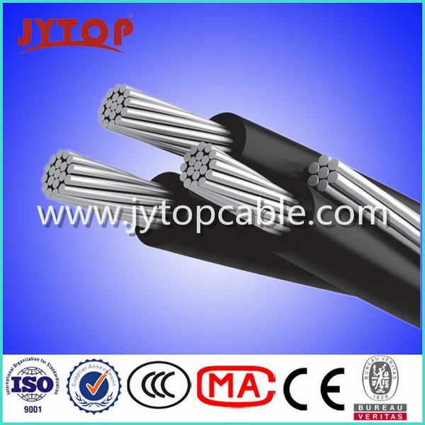 China 
                        0.6/1kv Self Suppor Caai Cable, Caai-S Cable
                      manufacture and supplier